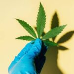 tecnico-de-enfermagem-e-preso-por-vender-maconha-por-r$-10-a-cliente