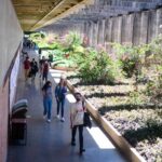 unb-abre-mais-de-mil-vagas-a-alunos-de-outras-instituicoes-e-graduados
