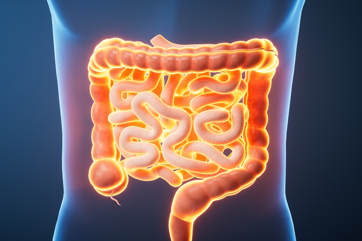 nutri-lista-os-perigos-para-a-saude-de-manter-intestino-inflamado