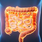 estudo-indica-que-ha-uma-forma-de-regenerar-o-intestino-envelhecido
