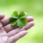 cor-e-numero-da-sorte-de-cada-signo:-como-atrair-clareza-emocional