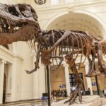 “ela-nao-acredita-em-dinossauros”,-revela-homem-apos-terminar-namoro