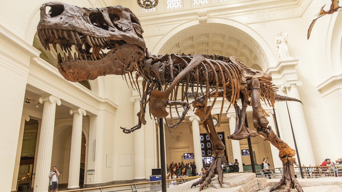 “ela-nao-acredita-em-dinossauros”,-revela-homem-apos-terminar-namoro