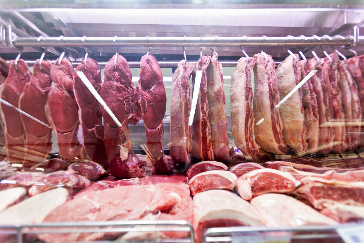 a-campea-das-proteinas:-a-carne-ideal-para-ganhar-massa-magra