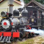 que-tal-turistar-de-um-jeito-diferente?-viaje-de-trem-pelo-brasil