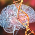 dna-“lixo”-pode-ter-papel-no-desenvolvimento-do-alzheimer,-diz-estudo