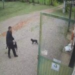 pico-parana:-veja-momento-em-que-jovem-chega-caminhando-a-fazenda.-veja-video
