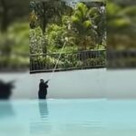 caldas-novas:-fezes-em-piscina-de-ondas-deixa-banhistas-revoltados.-video