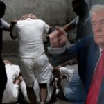 como-faccao-da-venezuela-alvo-de-trump-blinda-rota-de-trafico-do-pcc