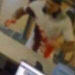 saiba-quem-era-o-homem-esfaqueado,-perseguido-e-morto-em-academia