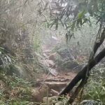 pico-parana:-montanhista-mostra-trilha-onde-jovem-ficou-por-cinco-dias.-veja-video