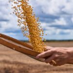 sp:-agro-fecha-ano-com-superavit-comercial.-china-e-principal-destino
