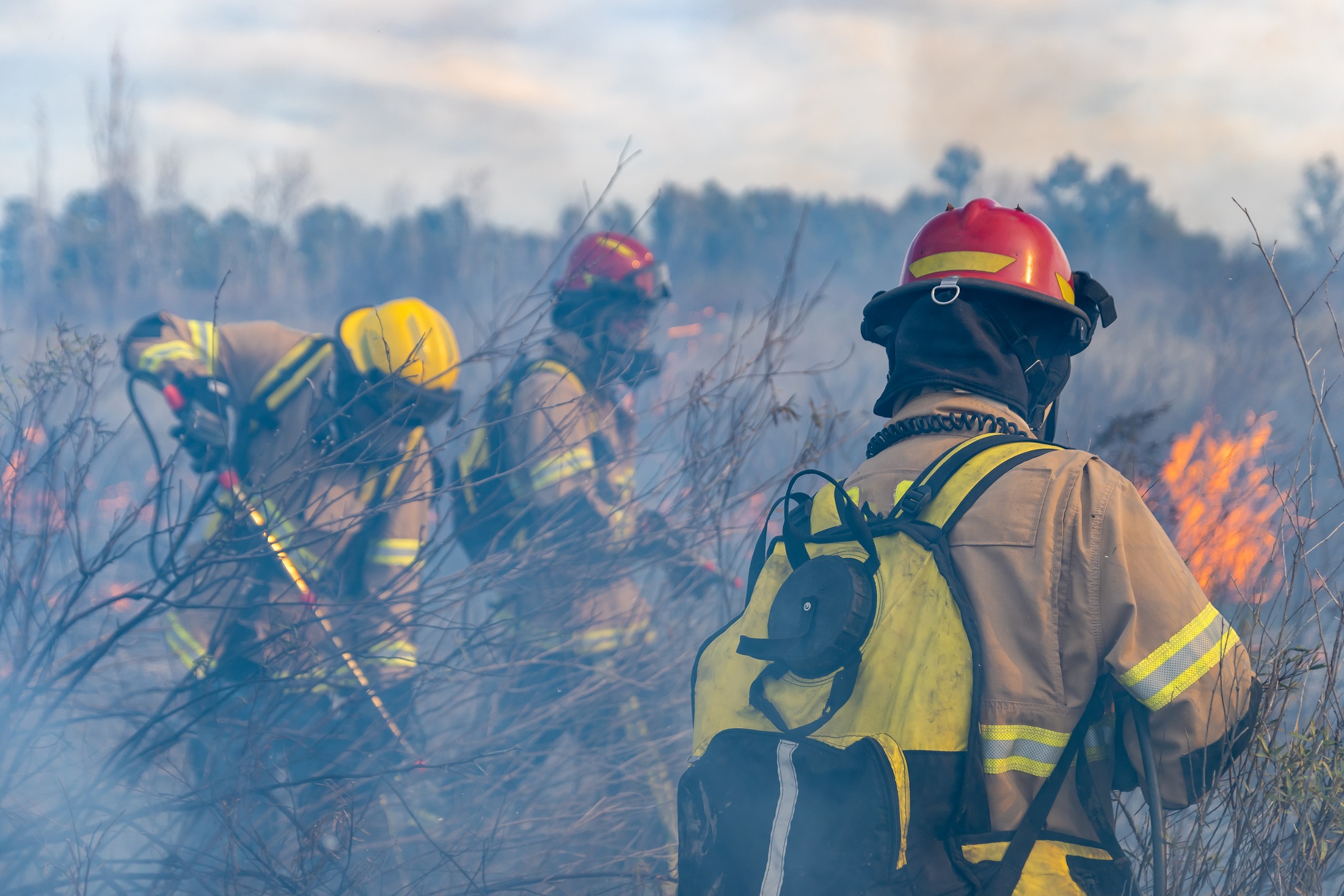 incendios-na-patagonia-argentina-destroem-mais-de-15-mil-hectares