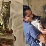 alem-de-wagner-moura,-gata-de-o-agente-secreto-tambem-venceu-premio