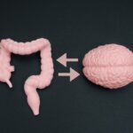 medico-explica-relacao-do-intestino-com-a-saude-mental;-veja-cuidados
