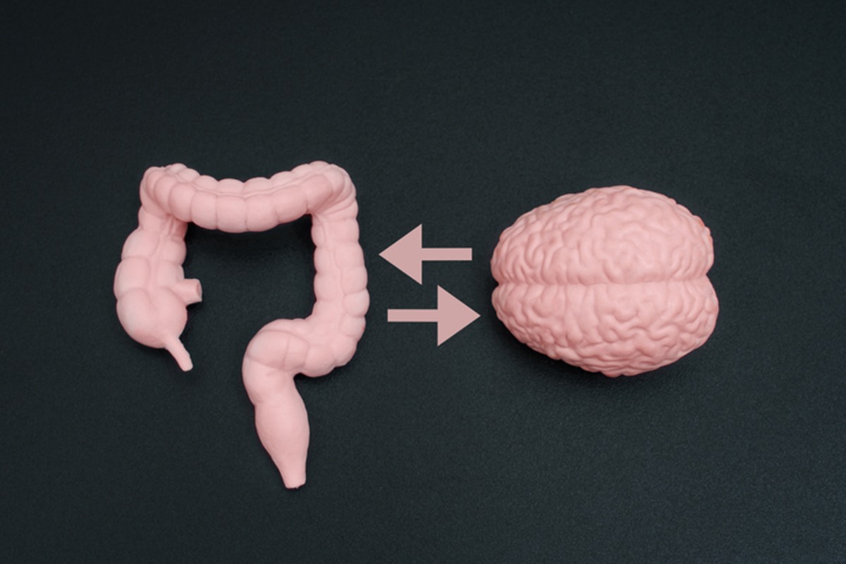 medico-explica-relacao-do-intestino-com-a-saude-mental;-veja-cuidados