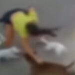 mulher-e-agredida-por-dono-de-pit-bull-que-atacou-seus-caes-no-ceara