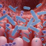 probioticos-funcionam-mesmo?-medico-esclarece-quando-e-como-usar