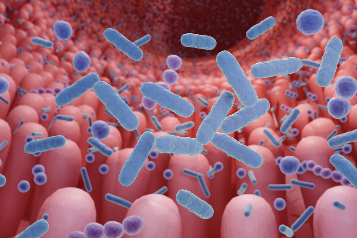 probioticos-funcionam-mesmo?-medico-esclarece-quando-e-como-usar