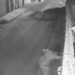 go:-homem-quebra-porta-de-vizinha-e-acaba-queimado-com-agua-quente.-veja-video