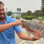 morador-acha-tilapia-de-1,5-kg-no-meio-de-avenida-apos-chuva-em-sp.-veja