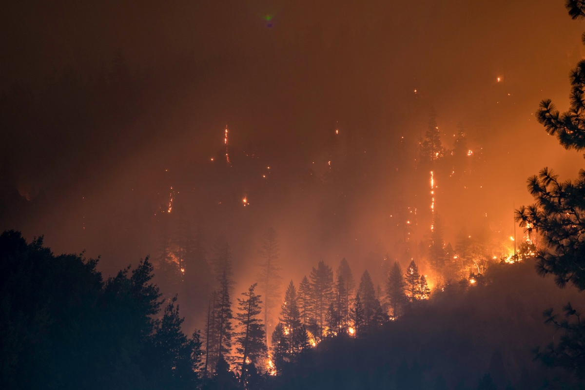 incendios-do-seculo-21-no-alasca-sao-os-mais-intensos-da-historia