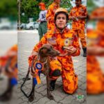 cadela-dos-bombeiros-morta-em-bacabal-(ma)-participou-de-grandes-acoes
