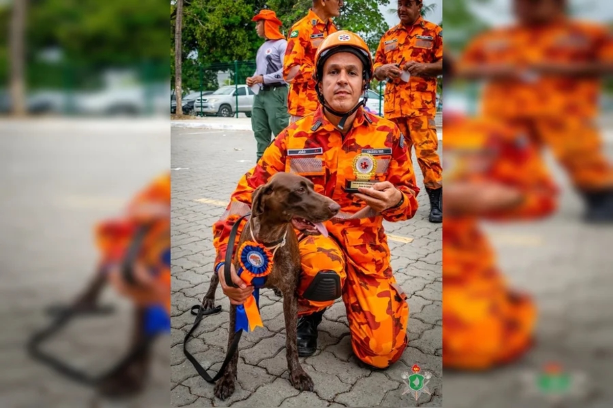 cadela-dos-bombeiros-morta-em-bacabal-(ma)-participou-de-grandes-acoes