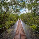 parana-inaugura-trilha-de-15-km-com-pontes-suspensas-e-passarelas