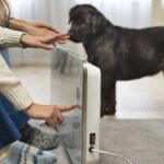 energia-eletrica-e-pets:-como-prevenir-riscos-e-agir-em-emergencias
