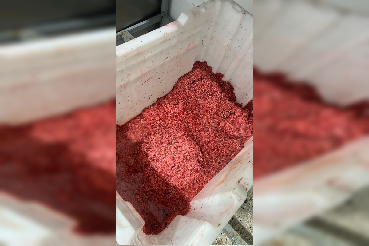“espetinho-colorido”:-carne-com-corante-e-apreendida-em-fabrica-clandestina
