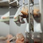 delegado-mostra-fabrica-que-fazia-espetinhos-com-carne-“pintada”-veja.-veja-video