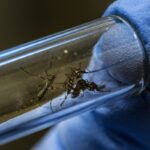 estado-de-sao-paulo-registra-primeira-morte-por-dengue-em-2026