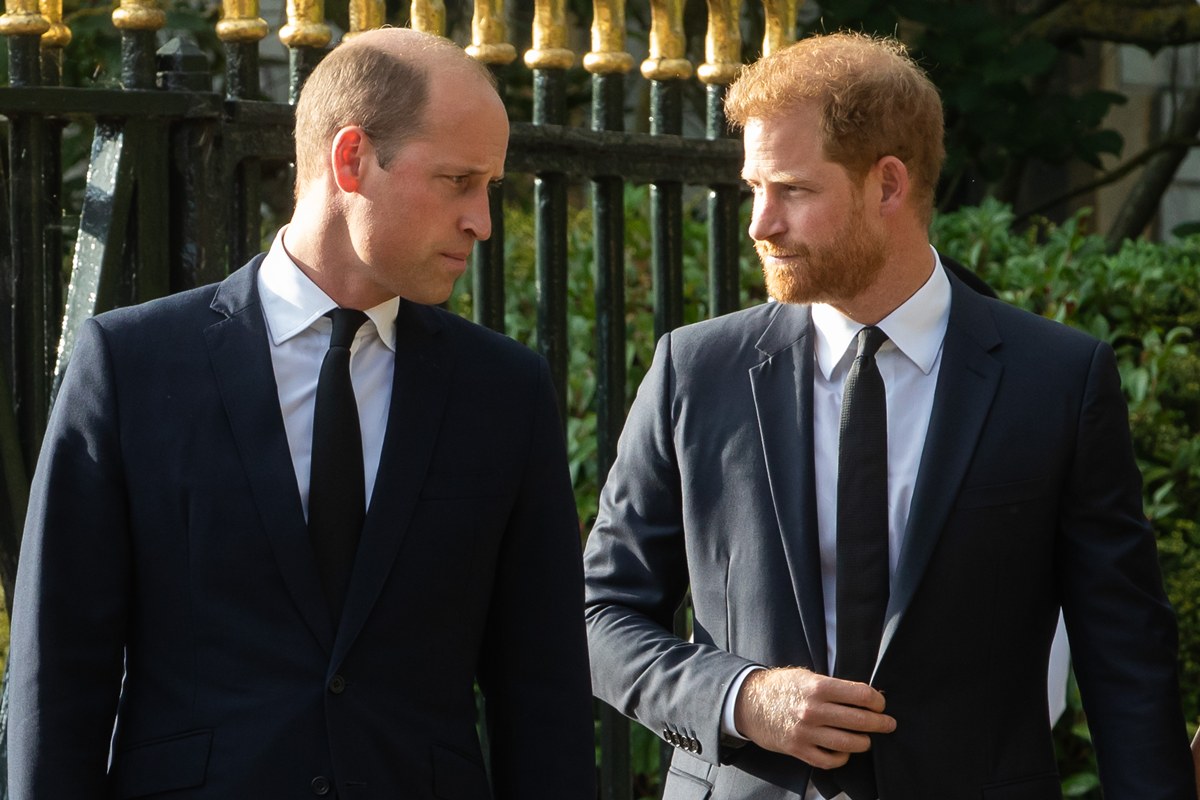 william-toma-“medida-de-precaucao”-para-volta-de-harry-ao-reino-unido