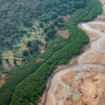 dezesseis-projetos-concorrem-em-edital-para-restauracao-da-amazonia
