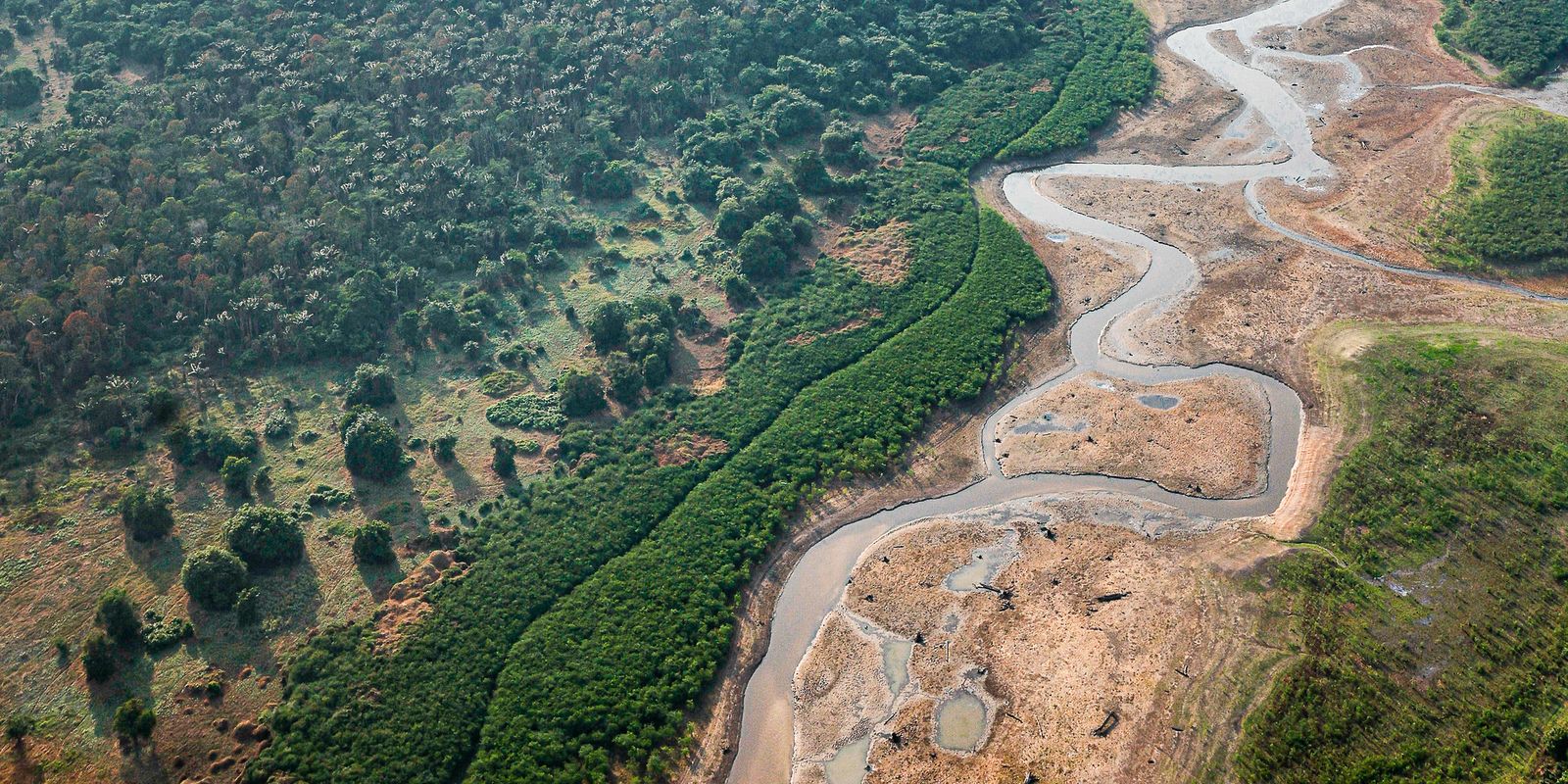 dezesseis-projetos-concorrem-em-edital-para-restauracao-da-amazonia