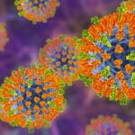 risco-de-novos-surtos:-os-virus-que-a-ciencia-esta-de-olho-em-2026