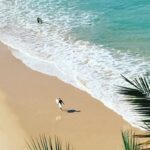 homem-e-atacado-por-tubarao-na-australia,-4o-ataque-em-menos-de-48-h