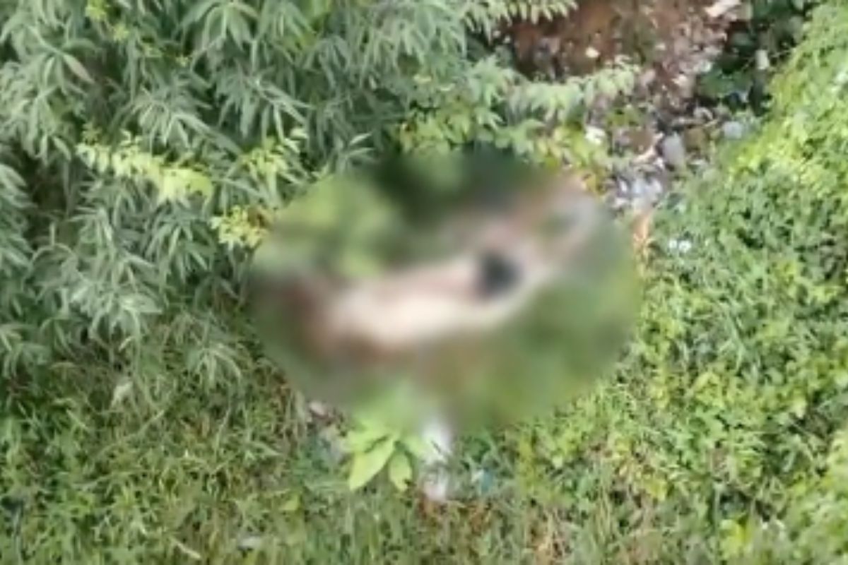 misterio:-drone-da-pm-encontra-corpo-desovado-em-area-de-mata.-video