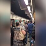 queda-de-arvore:-circulacao-de-trens-da-linha-8-diamente-sofre-interrupcao