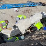 fossil-de-dinossauro-e-encontrado-em-obra-de-estacionamento-nos-eua