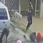 pitbull-escapa-de-casa-e-ataca-crianca-de-dois-anos-em-goiania.-veja-video