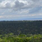 desmatamento-na-amazonia-eleva-calor-do-solo-florestal-durante-a-seca
