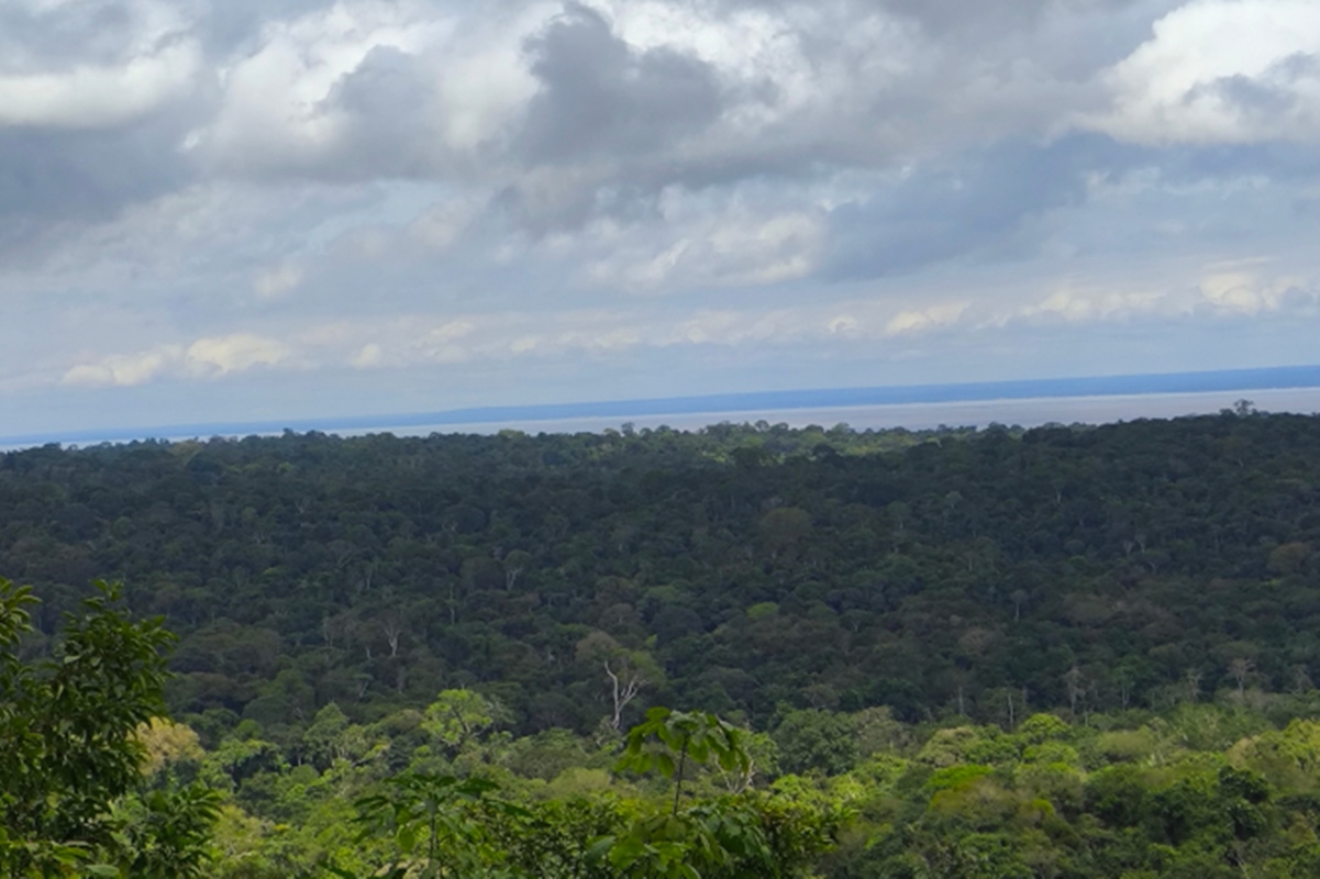 desmatamento-na-amazonia-eleva-calor-do-solo-florestal-durante-a-seca