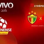 catarinense-2026:-veja-brusque-x-santa-catarina-ao-vivo