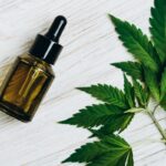 terapia-com-oleo-de-cannabis-reduz-dor-cronica,-sugere-estudo-da-unb