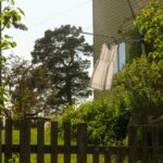 perfeita-para-o-verao:-veja-a-arvore-de-sombra-que-refresca-sua-casa