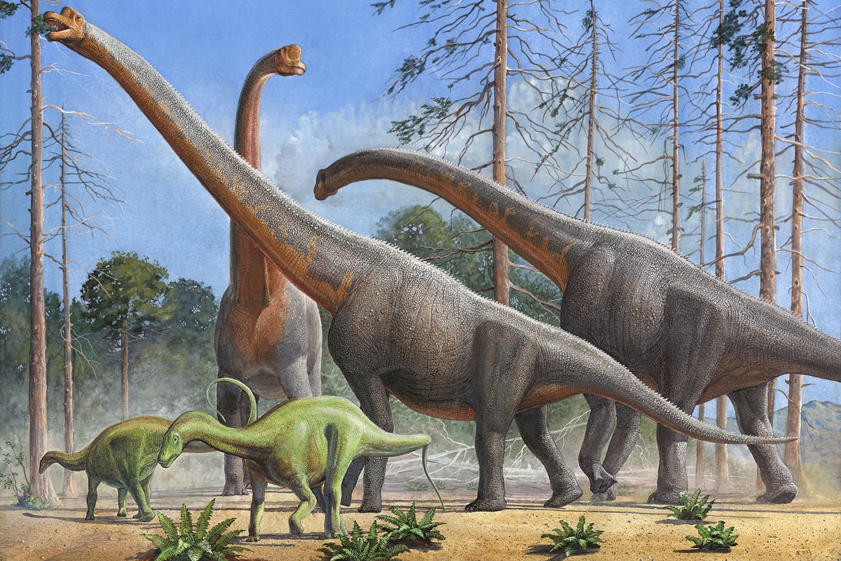dinossauros-e-mamutes-eram-mais-lentos-do-que-se-pensava,-diz-estudo