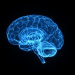 bacterias-intestinais-podem-afetar-memoria-e-ter-ligacao-com-alzheimer