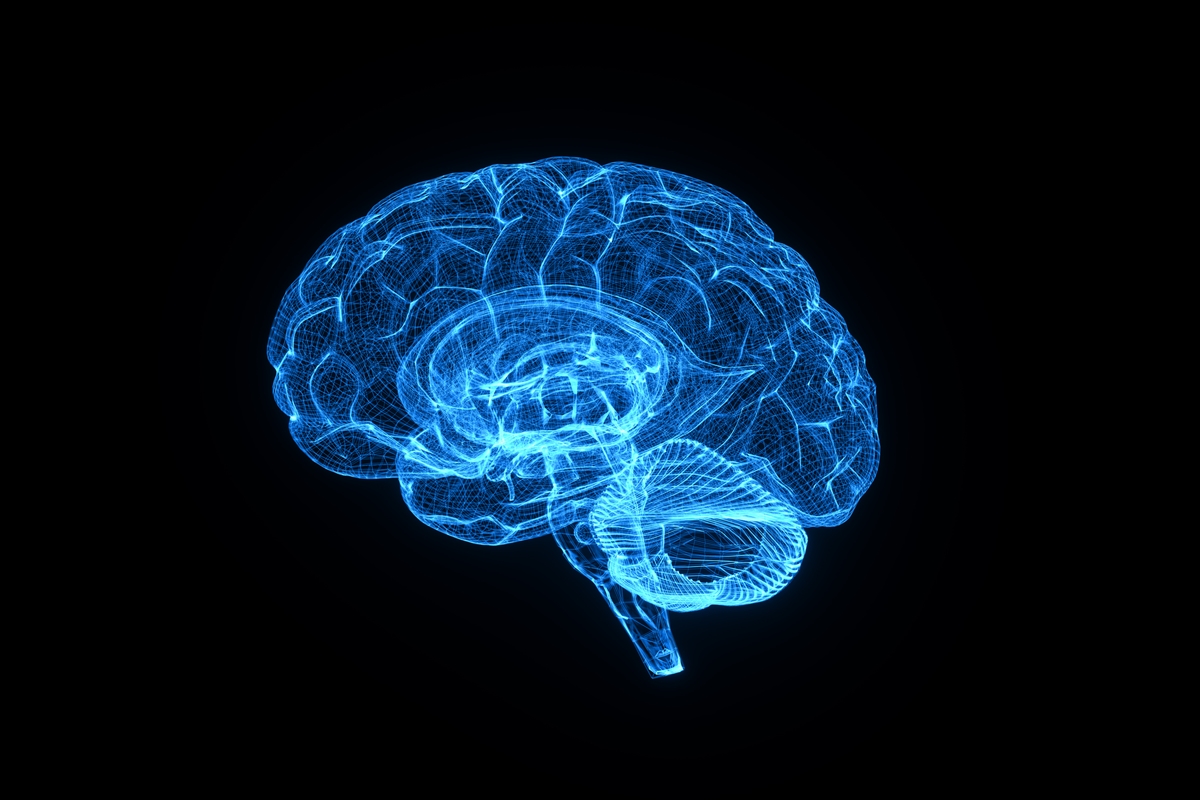 bacterias-intestinais-podem-afetar-memoria-e-ter-ligacao-com-alzheimer